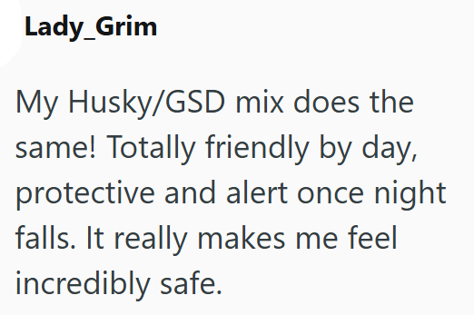 Lady_Grim My Husky/GSD mix does the same! Totally friendly by day, protective and alert once night falls. It really makes me feel incredibly safe.