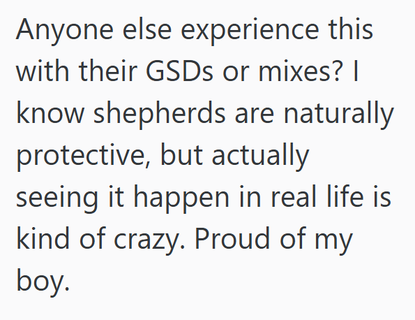 Anyone else experience this with their GSDs or mixes? | know shepherds are naturally protective, but actually seeing it happen in real life is kind of crazy. Proud of my boy.
