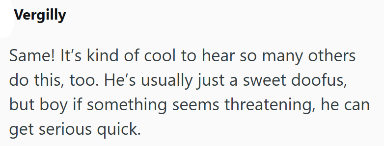 Vergilly Same! It's kind of cool to hear so many others do this, too. He's usually just a sweet doofus, but boy if something seems threatening, he can get serious quick.