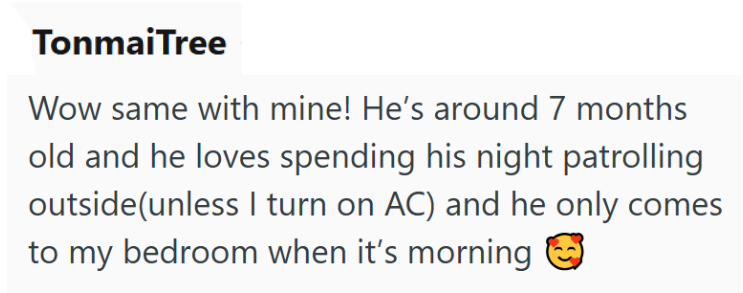 TonmaiTree Wow same with mine! He's around 7 months old and he loves spending his night patrolling outside(unless I turn on AC) and he only comes to my bedroom when it's morning >