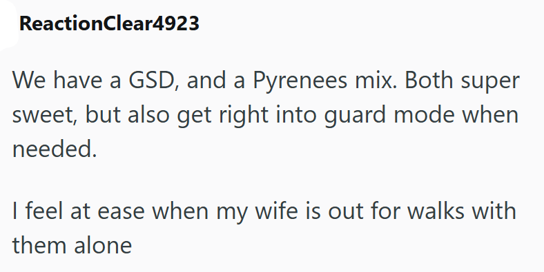 ReactionClear4923 We have a GSD, and a Pyrenees mix. Both super sweet, but also get right into guard mode when needed. I feel at ease when my wife is out for walks with them alone