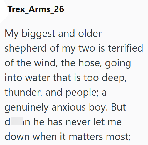 Trex_Arms_26 My biggest and older shepherd of my two is terrified of the wind, the hose, going into water that is too deep, thunder, and people; a genuinely anxious boy. But d....in he has never let me down when it matters most;