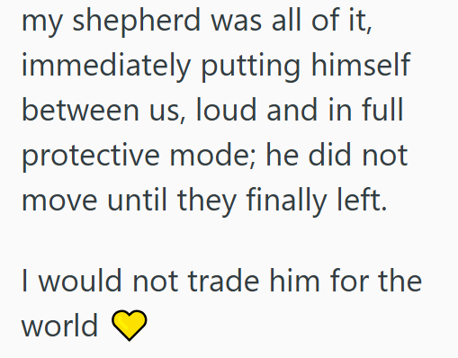 my shepherd was all of it, immediately putting himself between us, loud and in full protective mode; he did not move until they finally left. I would not trade him for the world