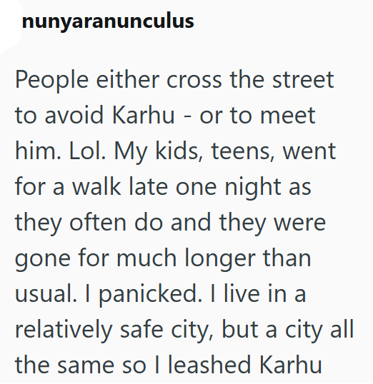 nunyaranunculus People either cross the street to avoid Karhu - or to meet him. Lol. My kids, teens, went for a walk late one night as they often do and they were gone for much longer than usual. I panicked. I live in a relatively safe city, but a city all the same so I leashed Karhu