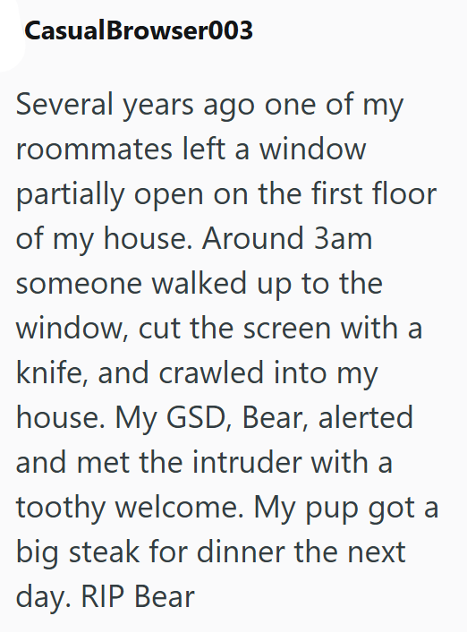 Casual Browser003 Several years ago one of my roommates left a window partially open on the first floor of my house. Around 3am someone walked up to the window, cut the screen with a knife, and crawled into my house. My GSD, Bear, alerted and met the intruder with a toothy welcome. My pup got a big steak for dinner the next day. RIP Bear