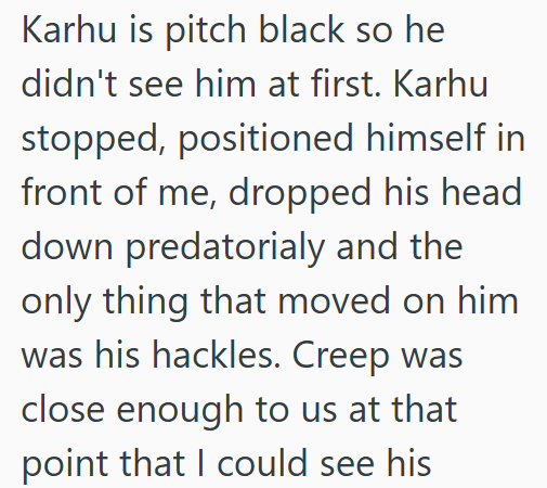 Karhu is pitch black so he didn't see him at first. Karhu stopped, positioned himself in front of me, dropped his head down predatorialy and the only thing that moved on him was his hackles. Creep was close enough to us at that point that I could see his