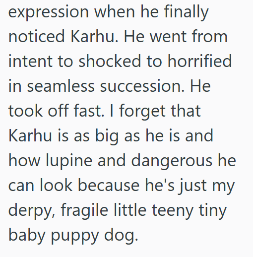 expression when he finally noticed Karhu. He went from intent to shocked to horrified in seamless succession. He took off fast. I forget that Karhu is as big as he is and how lupine and dangerous he can look because he's just my derpy, fragile little teeny tiny baby puppy dog.