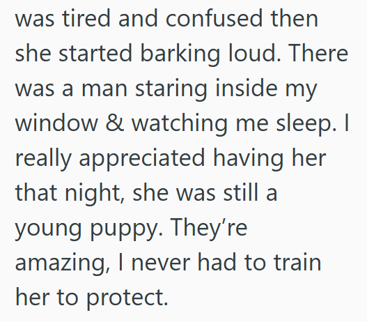 was tired and confused then she started barking loud. There was a man staring inside my window & watching me sleep. I really appreciated having her that night, she was still a young puppy. They're amazing, I never had to train her to protect.