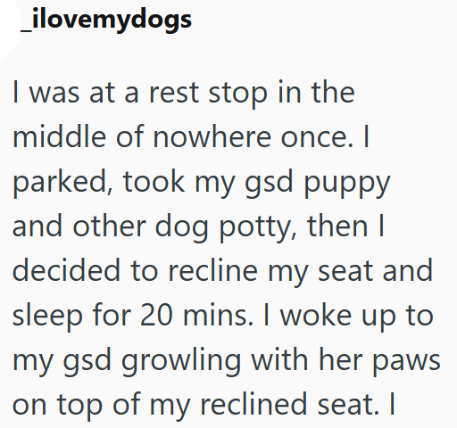 ilovemydogs I was at a rest stop in the middle of nowhere once. I parked, took my gsd puppy and other dog potty, then I decided to recline my seat and sleep for 20 mins. I woke up to my gsd growling with her paws on top of my reclined seat. I