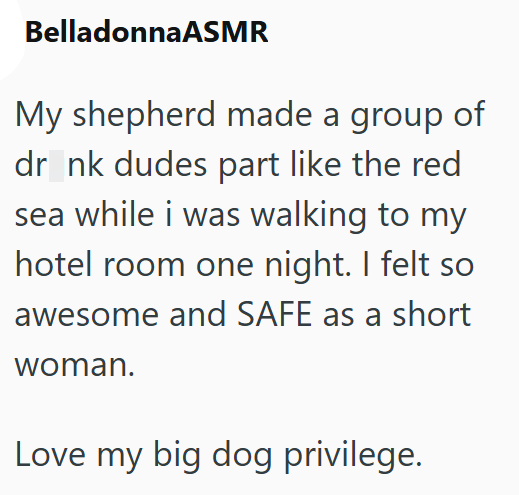 BelladonnaASMR My shepherd made a group of dr_nk dudes part like the red sea while i was walking to my hotel room one night. I felt so awesome and SAFE as a short woman. Love my big dog privilege.