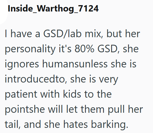 Inside_Warthog_7124 I have a GSD/lab mix, but her personality it's 80% GSD, she ignores humansunless she is introducedto, she is very patient with kids to the pointshe will let them pull her. tail, and she hates barking.