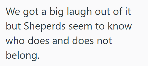We got a big laugh out of it but Sheperds seem to know who does and does not belong.