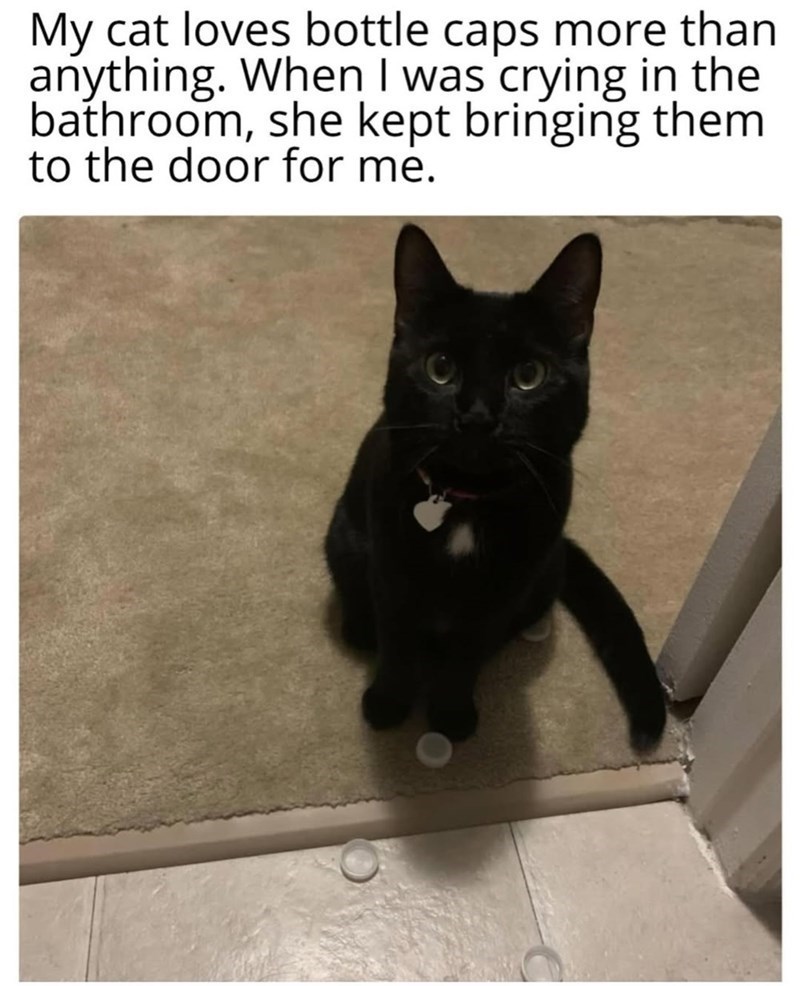 My cat loves bottle caps more than anything. When I was crying in the bathroom, she kept bringing them to the door for me.