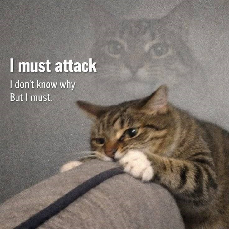 I must attack I don't know why But I must.
