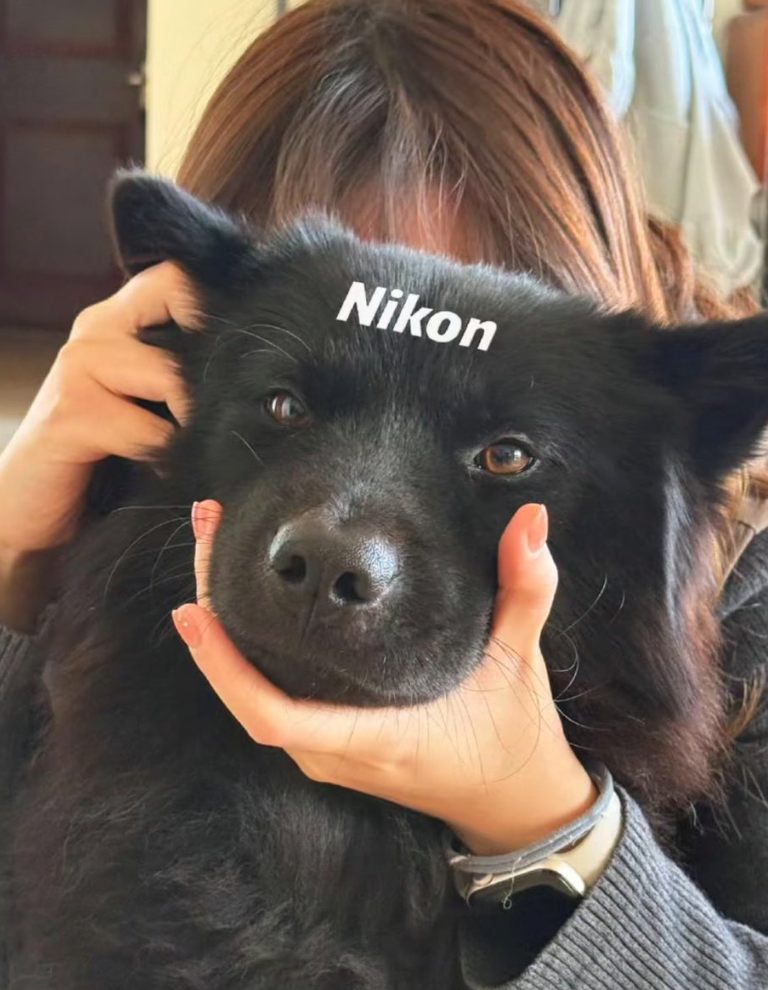 Nikon