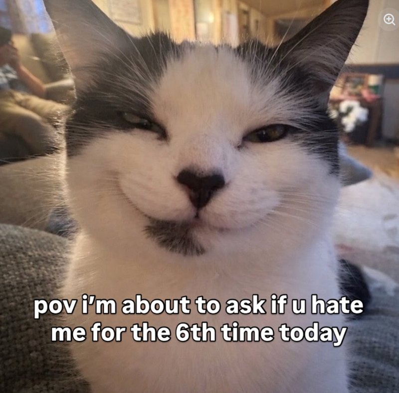 pov i'm about to ask if u hate me for the 6th time today