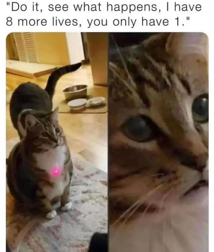 "Do it, see what happens, I have 8 more lives, you only have 1."