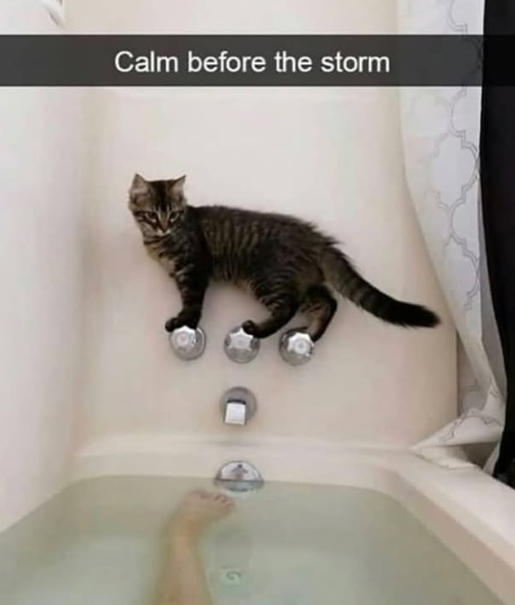 Calm before the storm