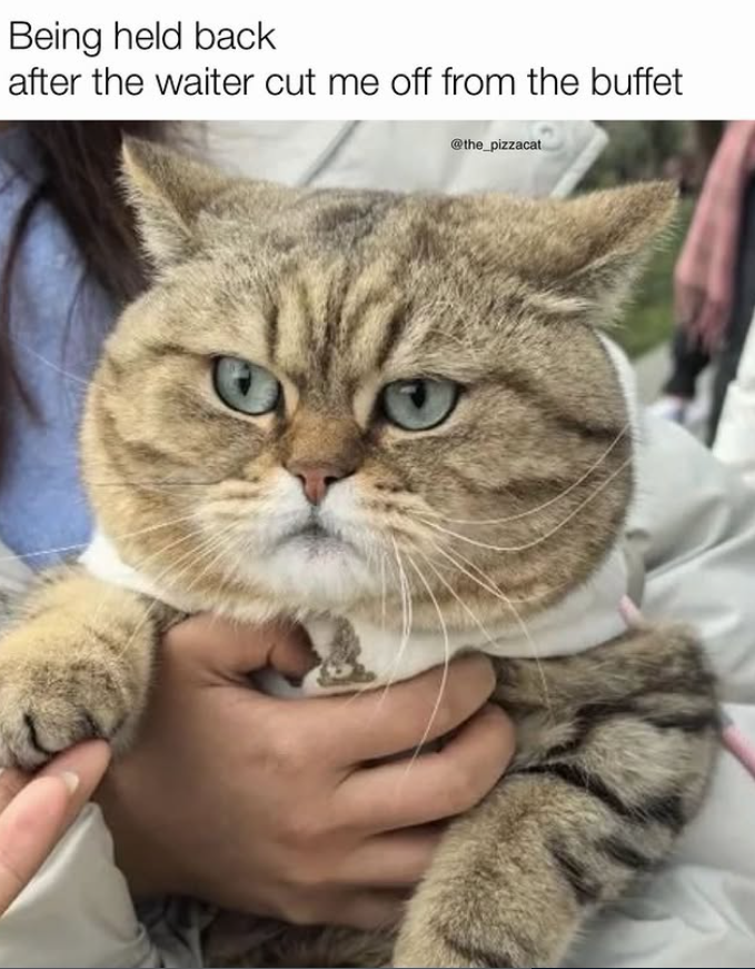 Being held back after the waiter cut me off from the buffet @the_pizzacat