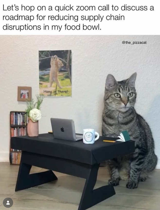 Let's hop on a quick zoom call to discuss a roadmap for reducing supply chain disruptions in my food bowl. Hang in there! @the_pizzacat