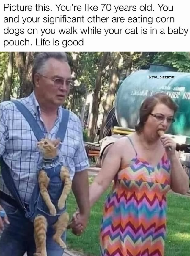 Picture this. You're like 70 years old. You and your significant other are eating corn dogs on you walk while your cat is in a baby pouch. Life is good @the_pizzacat