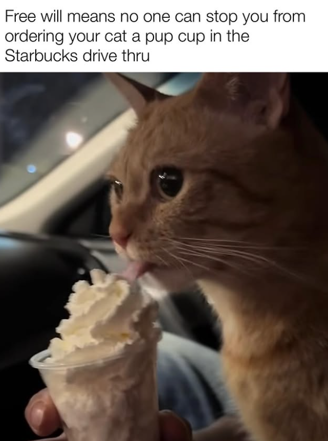 Free will means no one can stop you from ordering your cat a pup cup in the Starbucks drive thru