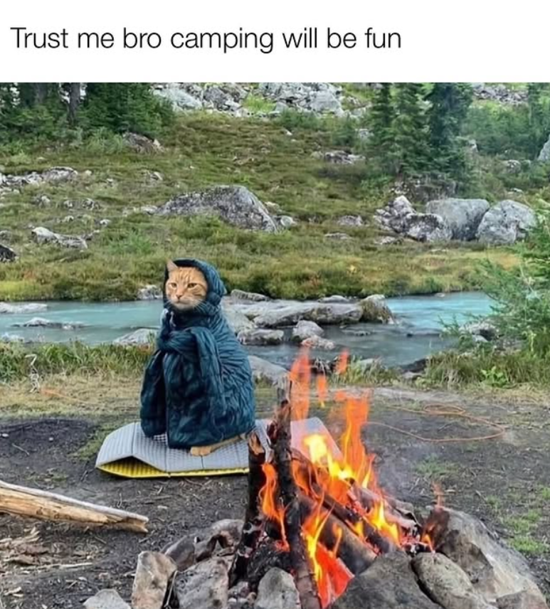 Trust me bro camping will be fun