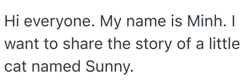 Hi everyone. My name is Minh. I want to share the story of a little cat named Sunny.