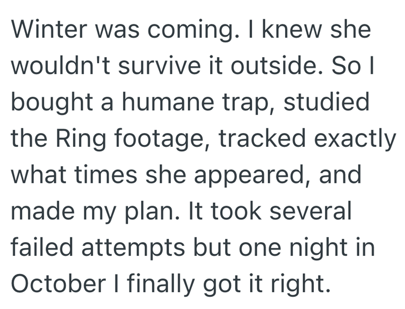 Winter was coming. I knew she wouldn't survive it outside. So I bought a humane trap, studied the Ring footage, tracked exactly what times she appeared, and made my plan. It took several failed attempts but one night in October I finally got it right.