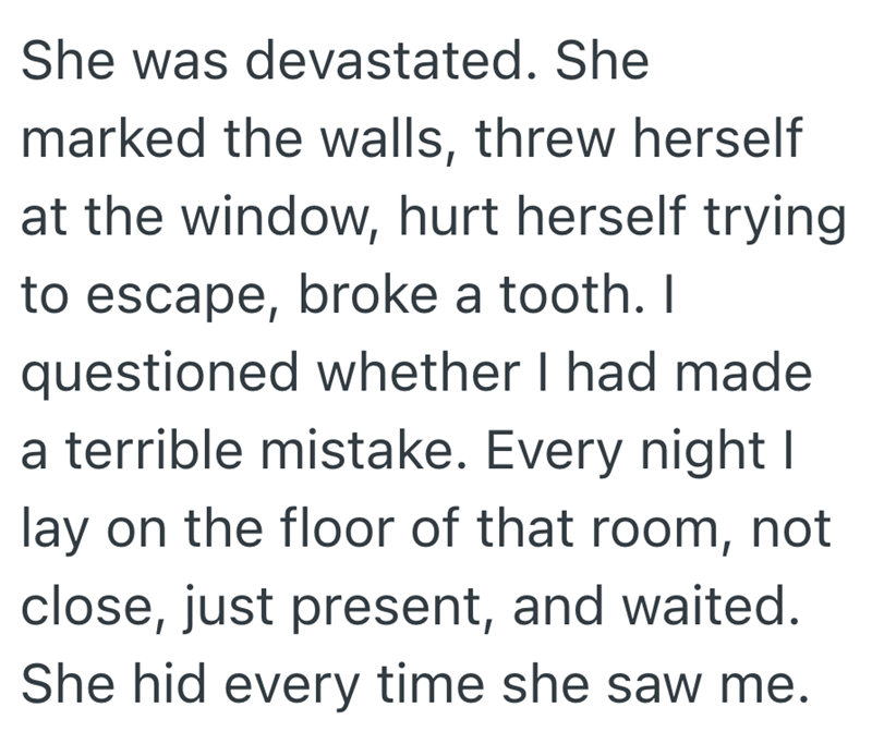 She was devastated. She marked the walls, threw herself at the window, hurt herself trying to escape, broke a tooth. I questioned whether I had made a terrible mistake. Every night I lay on the floor of that room, not close, just present, and waited. She hid every time she saw me.