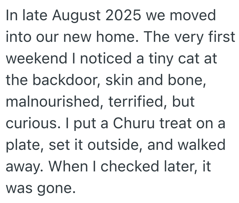 In late August 2025 we moved into our new home. The very first weekend I noticed a tiny cat at the backdoor, skin and bone, malnourished, terrified, but curious. I put a Churu treat on a plate, set it outside, and walked away. When I checked later, it was gone.