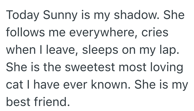 Today Sunny is my shadow. She follows me everywhere, cries. when I leave, sleeps on my lap. She is the sweetest most loving cat I have ever known. She is my best friend.