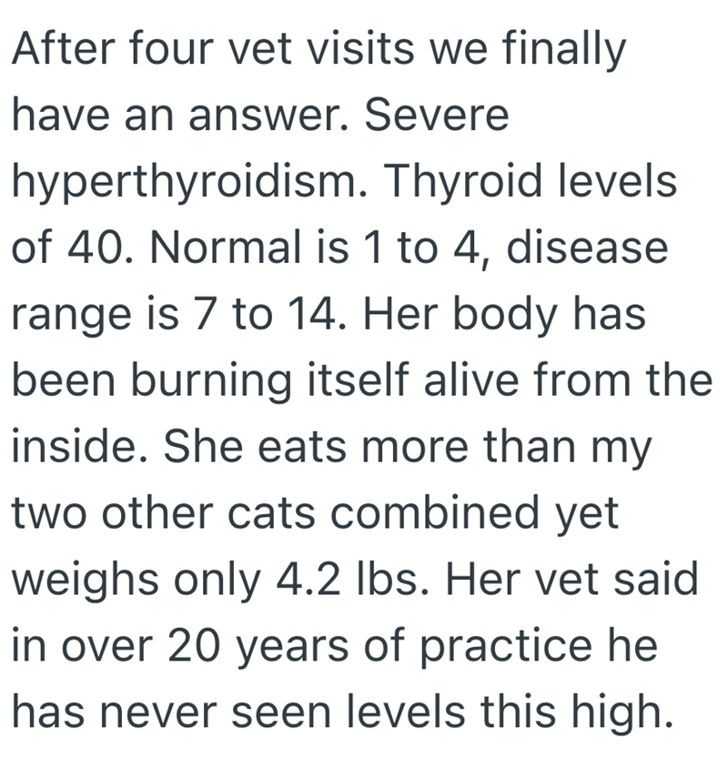 After four vet visits we finally have an answer. Severe hyperthyroidism. Thyroid levels of 40. Normal is 1 to 4, disease range is 7 to 14. Her body has been burning itself alive from the inside. She eats more than my two other cats combined yet weighs only 4.2 lbs. Her vet said in over 20 years of practice he has never seen levels this high.