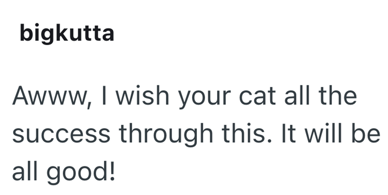 bigkutta Awww, I wish your cat all the success through this. It will be all good!