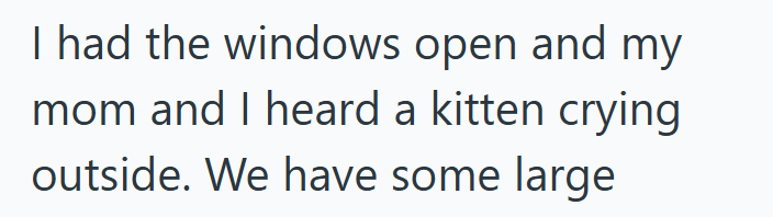 I had the windows open and my mom and I heard a kitten crying outside. We have some large