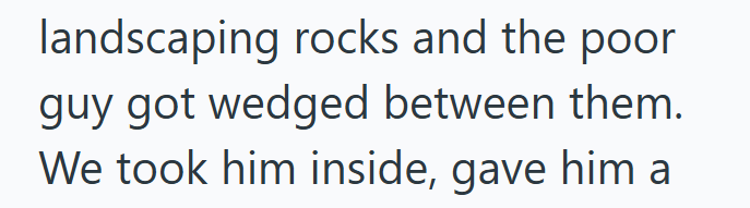 landscaping rocks and the poor guy got wedged between them. We took him inside, gave him a
