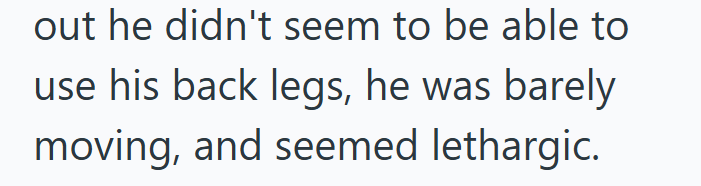 out he didn't seem to be able to use his back legs, he was barely moving, and seemed lethargic.