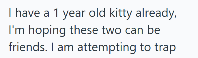 I have a 1 year old kitty already, I'm hoping these two can be friends. I am attempting to trap