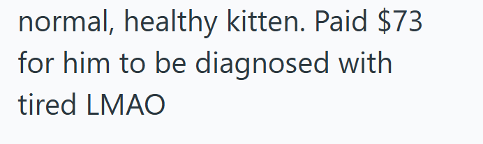 normal, healthy kitten. Paid $73 for him to be diagnosed with tired LMAO