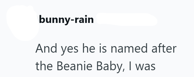 bunny-rain And yes he is named after the Beanie Baby, I was
