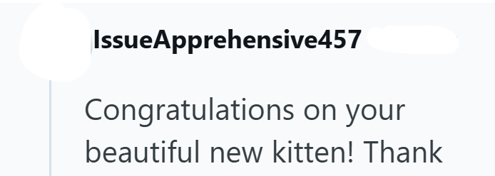 IssueApprehensive457 Congratulations on your beautiful new kitten! Thank