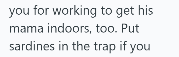 you for working to get his mama indoors, too. Put sardines in the trap if you