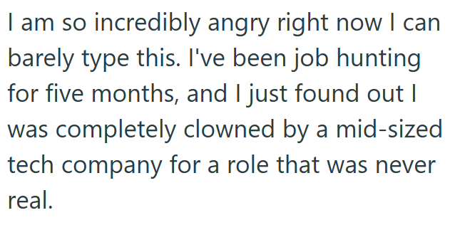 I am so incredibly angry right now I can barely type this. I've been job hunting for five months, and I just found out I was completely clowned by a mid-sized tech company for a role that was never real.