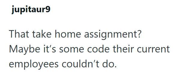 jupitaur9 That take home assignment? Maybe it's some code their current employees couldn't do.