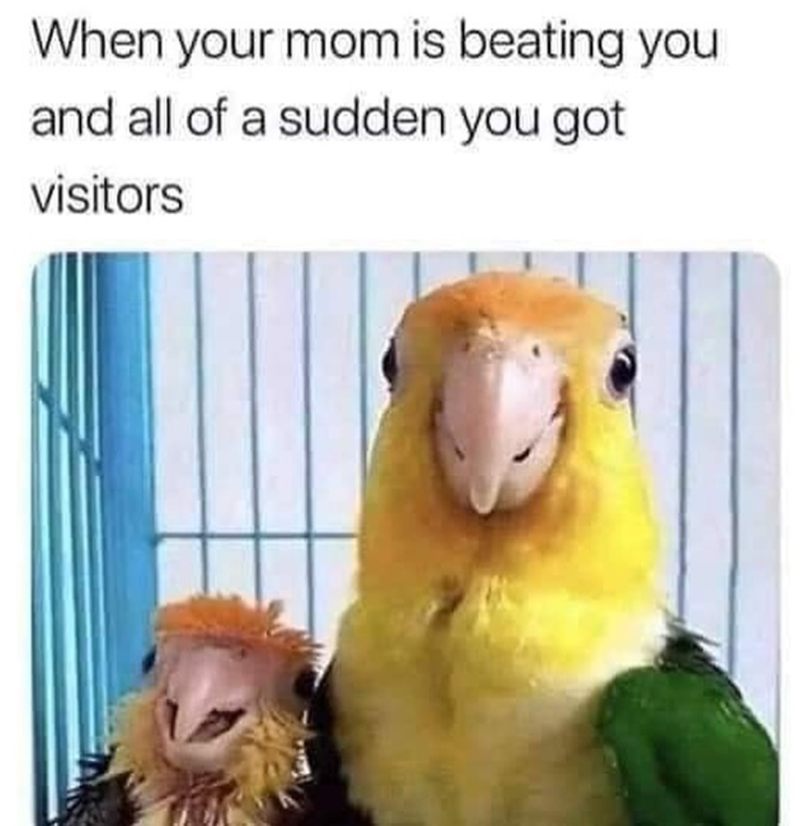 When your mom is beating you and all of a sudden you got visitors