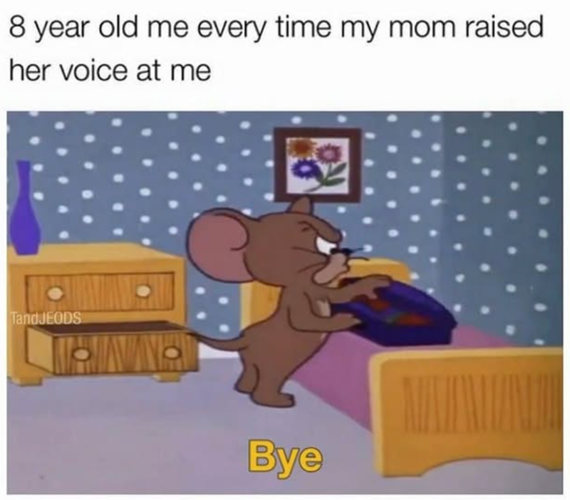 8 year old me every time my mom raised her voice at me TandJEODS Bye