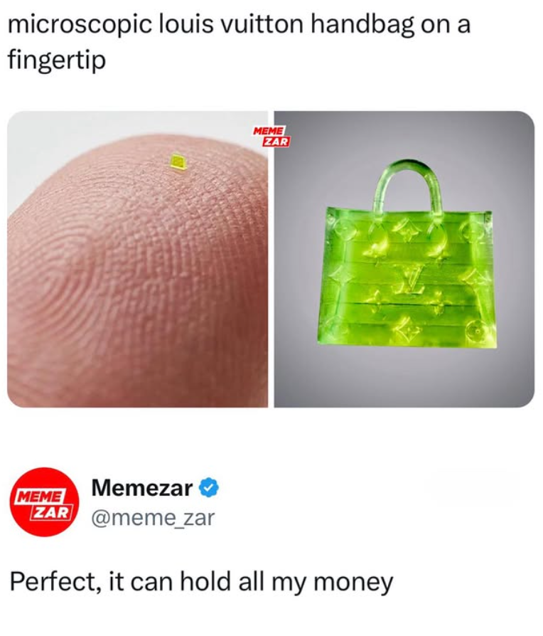 microscopic louis vuitton handbag on a fingertip MEME ZAR MEME Memezar ZAR @meme_zar Perfect, it can hold all my money