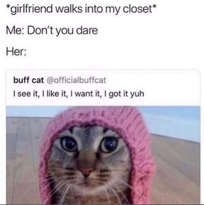 *girlfriend walks into my closet* Me: Don't you dare Her: buff cat @officialbuffcat I see it, I like it, I want it, I got it yuh