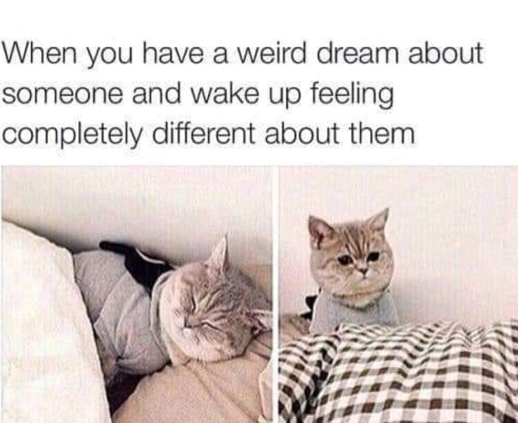 When you have a weird dream about someone and wake up feeling completely different about them