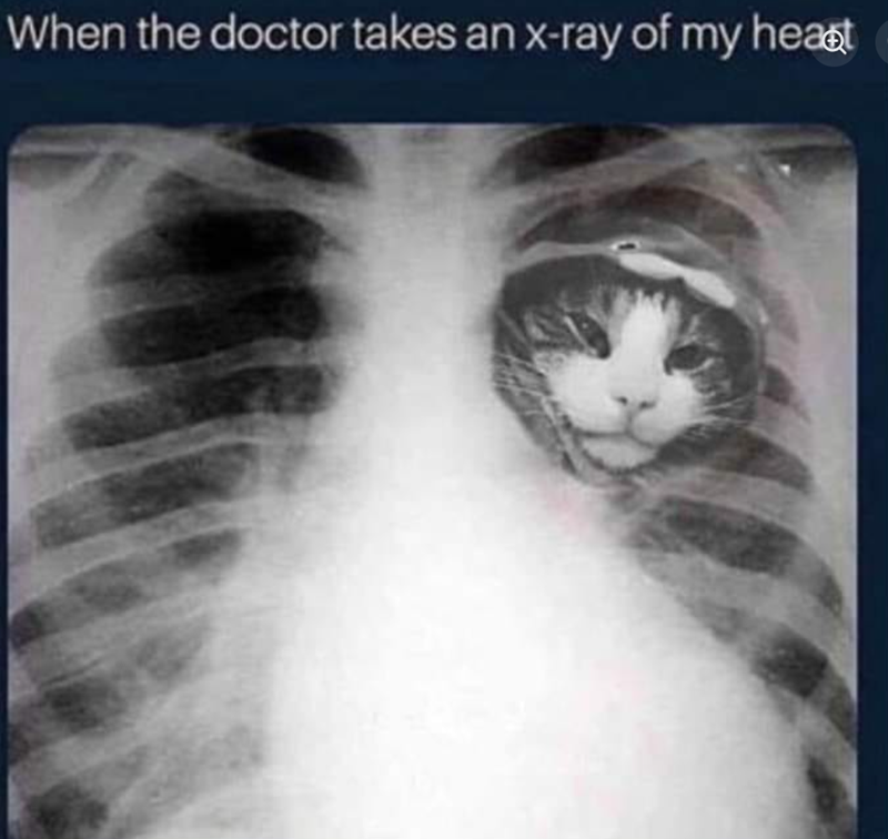 When the doctor takes an x-ray of my heart